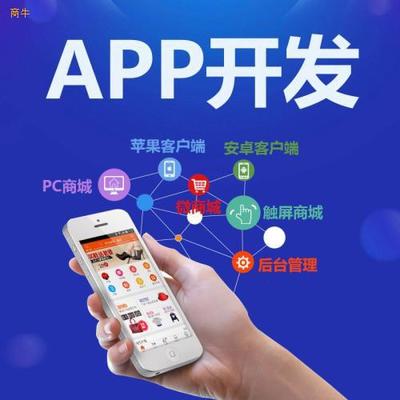 優點軟件app開發優點系統開發定制