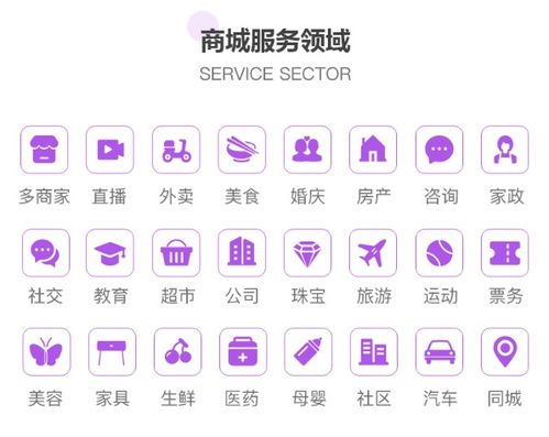 商城app開發,到底是該選擇定制開發還是模板開發呢