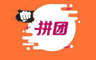 拼團app系統定制 拼團商城app成功案例 拼團小程序開發 類似拼多多app開發解決方案