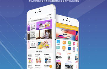 建站 優化推廣 小程序和app定制 oa系統開發