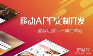 軟件app開發(fā) app定制 app源碼原生開發(fā)