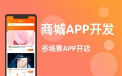 Win10應(yīng)用商店無(wú)法安裝應(yīng)用的解決方案及商城系統(tǒng)開(kāi)發(fā)概述